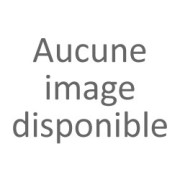Peintre